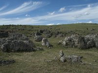 F, Lozere, Gatuzieres, Aures 19, Saxifraga-Willem van Kruijsbergen