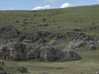 F, Lozere, Gatuzieres, Aures 2, Saxifraga-Willem van Kruijsbergen