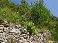 F, Lozere, Gorge du Tarn 10, Saxifraga-Dirk Hilbers