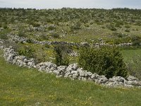 F, Lozere, Hures-la-Parade 27, Saxifraga-Jan van der Straaten