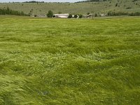 F, Lozere, Hures-la-Parade 29, Saxifraga-Jan van der Straaten