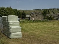 F, Lozere, Hures-la-Parade 33, Saxifraga-Jan van der Straaten