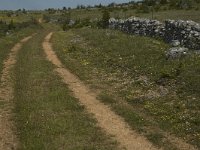 F, Lozere, Hures-la-Parade 52, Saxifraga-Marijke Verhagen