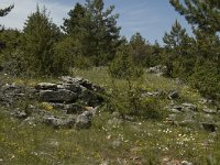 F, Lozere, Hures-la-Parade 56, Saxifraga-Marijke Verhagen