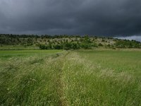 F, Lozere, Hures-la-Parade, Le-Buffre 11, Saxifraga-Dirk Hilbers