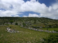 F, Lozere, Hures-la-Parade, Le-Buffre 6, Saxifraga-Dirk Hilbers