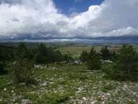 F, Lozere, Hures-la-Parade, Le-Buffre 7, Saxifraga-Dirk Hilbers