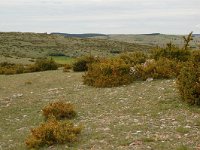 F, Lozere, Hures-la-Parade, Nivoliers 11, Saxifraga-Annemiek Bouwman