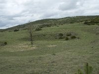 F, Lozere, Hures-la-Parade, Nivoliers 30, Saxifraga-Willem van Kruijsbergen