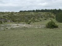 F, Lozere, Hures-la-Parade, Nivoliers 31, Saxifraga-Willem van Kruijsbergen