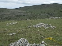 F, Lozere, Hures-la-Parade, Nivoliers 35, Saxifraga-Willem van Kruijsbergen