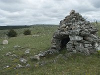 F, Lozere, Hures-la-Parade, Nivoliers 36, Saxifraga-Willem van Kruijsbergen