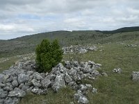 F, Lozere, Hures-la-Parade, Nivoliers 37, Saxifraga-Willem van Kruijsbergen