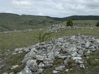 F, Lozere, Hures-la-Parade, Nivoliers 39, Saxifraga-Willem van Kruijsbergen