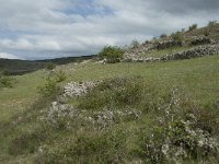 F, Lozere, Hures-la-Parade, Nivoliers 40, Saxifraga-Willem van Kruijsbergen