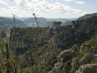 F, Lozere, Le Rozier 31, Saxifraga-Marijke Verhagen