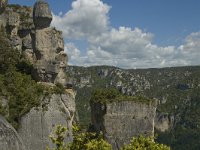 F, Lozere, Le Rozier 32, Saxifraga-Marijke Verhagen