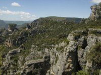 F, Lozere, Le Rozier 5, Saxifraga-Marijke Verhagen