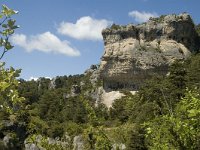 F, Lozere, Le Rozier 7, Saxifraga-Marijke Verhagen