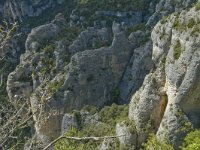 F, Lozere, Le Rozier 9, Saxifraga-Marijke Verhagen