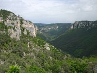 F, Lozere, Le Rozier, Gorge de la Jonte 2, Saxifraga-Dirk Hilbers