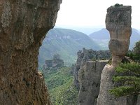 F, Lozere, Le Rozier, Gorge de la Jonte 6, Saxifraga-Dirk Hilbers