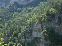 F, Lozere, Le Rozier, Gorge du Tarn 7, Saxifraga-Dirk Hilbers