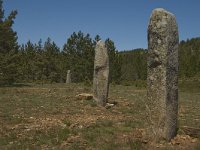 F, Lozere, Les Bondons 20, Saxifraga-Marijke Verhagen