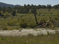 F, Lozere, Les Bondons 23, Saxifraga-Marijke Verhagen