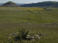 F, Lozere, Les Bondons 27, Saxifraga-Marijke Verhagen