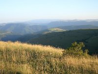 F, Lozere, Les Bondons 29, Saxifraga-Dirk Hilbers