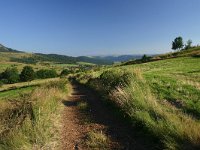 F, Lozere, Les Bondons, Les Combettes 4, Saxifraga-Dirk Hilbers