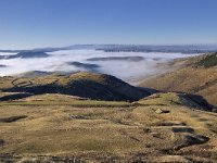 F, Lozere, Les Bondons, Mont-Lozere 1, Saxifraga-Elisabeth Raboin