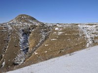 F, Lozere, Les Bondons, Mont-Lozere 2, Saxifraga-Elisabeth Raboin