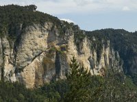 F, Lozere, Les Vignes 18, Saxifraga-Marijke Verhagen