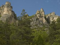 F, Lozere, Les Vignes 29, Saxifraga-Marijke Verhagen