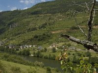 F, Lozere, Les Vignes 3, Saxifraga-Marijke Verhagen