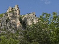 F, Lozere, Les Vignes 31, Saxifraga-Marijke Verhagen