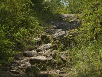 F, Lozere, Les Vignes 32, Saxifraga-Marijke Verhagen