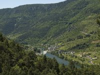 F, Lozere, Les Vignes 6, Saxifraga-Marijke Verhagen