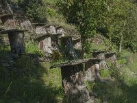 F, Lozere, Molezon, La Roquette 11, Saxifraga-Willem van Kruijsbergen