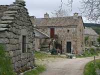 F, Lozere, Pont-de-Montvert-Sud-Mont-Lozere, Bellecoste 2, Saxifraga-Dirk Hilbers