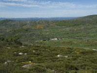 F, Lozere, Pont-de-Montvert-Sud-Mont-Lozere, Finiels 19, Saxifraga-Willem van Kruijsbergen