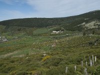 F, Lozere, Pont-de-Montvert-Sud-Mont-Lozere, Finiels 21, Saxifraga-Willem van Kruijsbergen