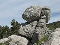 F, Lozere, Pont-de-Montvert-Sud-Mont-Lozere, Finiels 25, Saxifraga-Willem van Kruijsbergen