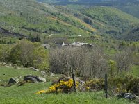 F, Lozere, Pont-de-Montvert-Sud-Mont-Lozere, Finiels 27, Saxifraga-Willem van Kruijsbergen