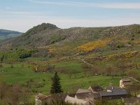 F, Lozere, Pont-de-Montvert-Sud-Mont-Lozere, Finiels 32, Saxifraga-Annemiek Bouwman