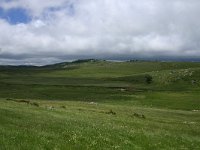 F, Lozere, Pont-de-Montvert-Sud-Mont-Lozere, Mont Lozere 2, Saxifraga-Dirk Hilbers