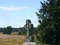 F, Lozere, Pont-de-Montvert-Sud-Mont-Lozere, Mont Lozere 25, Saxifraga-Dirk Hilbers