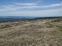 F, Lozere, Pont-de-Montvert-Sud-Mont-Lozere, Sommet de Finiels 22, Saxifraga-Willem van Kruijsbergen